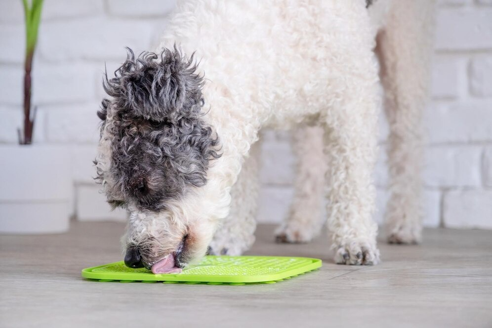 Lick Mat. El secreto para relajar a tu mascota.