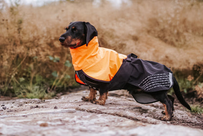 Non-Stop Dogwear Fjord Chubasquero - Chubasquero Perro