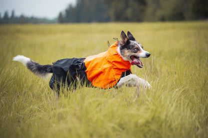 Non-Stop Dogwear Fjord Chubasquero - Chubasquero Perro