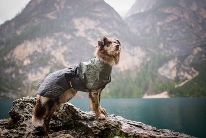 Non-Stop Dogwear Fjord Chubasquero - Chubasquero Perro