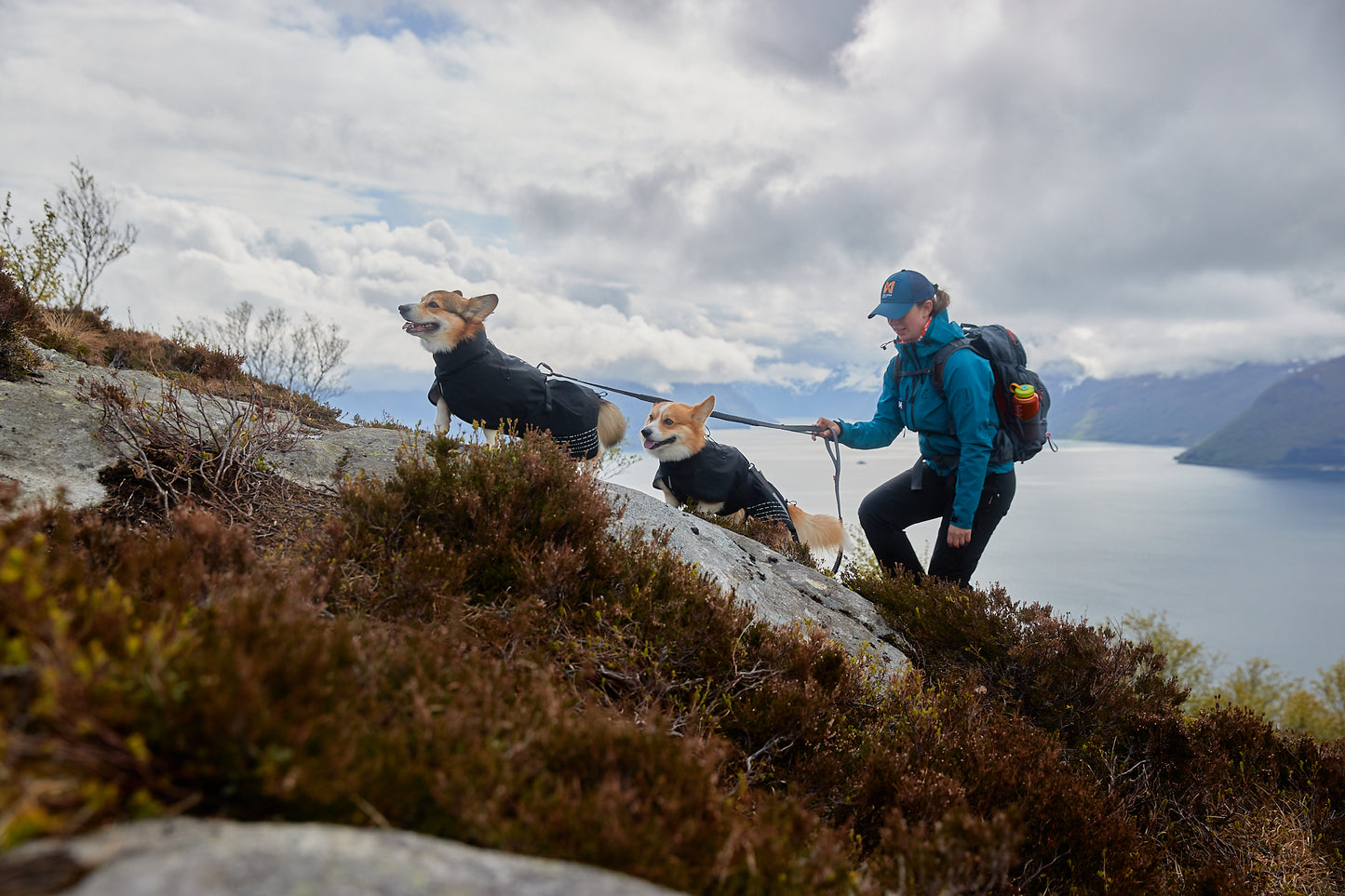 Non-Stop Dogwear Fjord Chubasquero - Chubasquero Perro