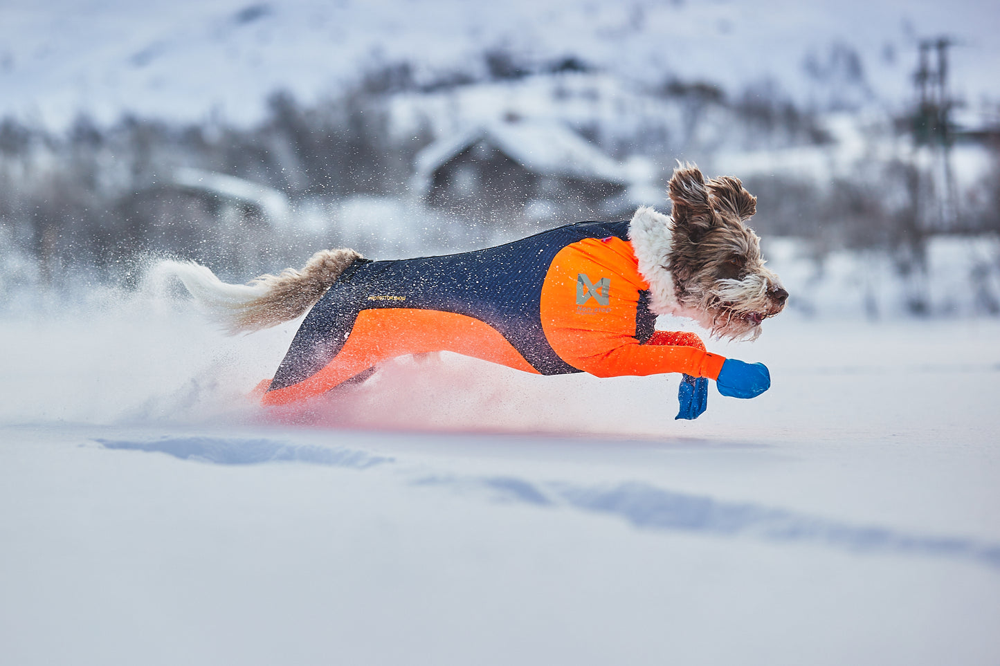 Non-Stop Dogwear Snow Chauqeta- Abrigo para perros.