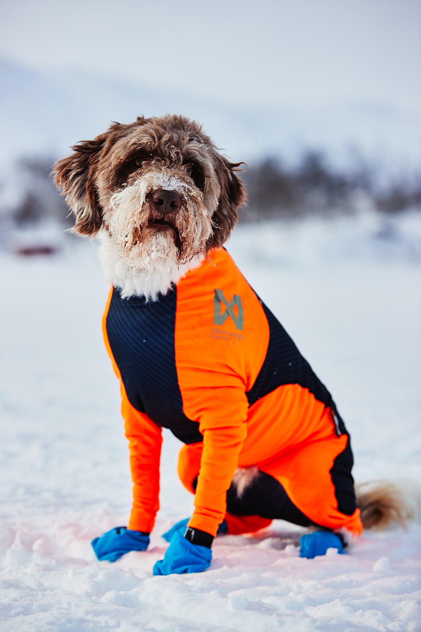 Non-Stop Dogwear Snow Chauqeta- Abrigo para perros.