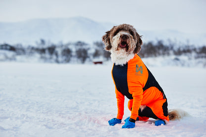 Non-Stop Dogwear Snow Chauqeta- Abrigo para perros.