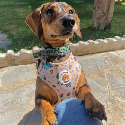 Arnés Peluditos Accesorios México Lindo para Perros