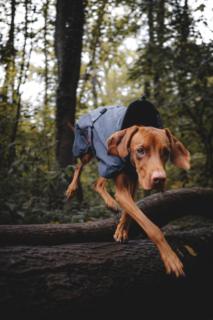 Non-Stop Dogwear Glacier  2.0Chaqueta- Abrigo para perros.