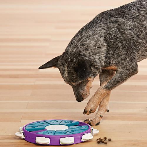 Puzzle Interactivo para Perros Twister