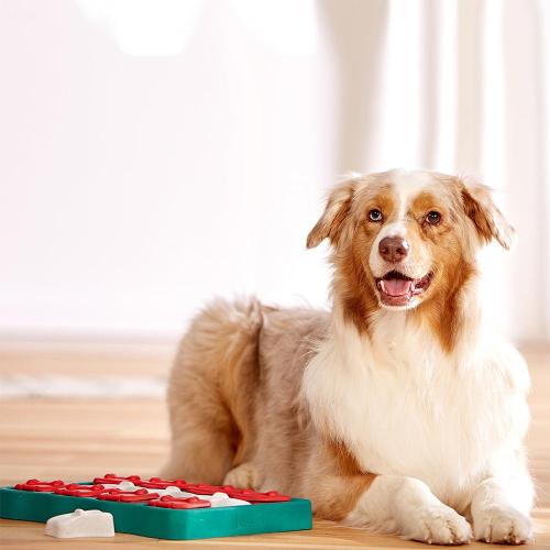 Puzzle Interactivo para Perros Brick