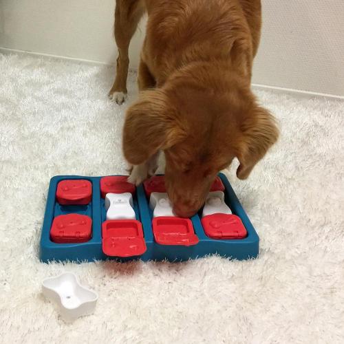 Puzzle Interactivo para Perros Brick