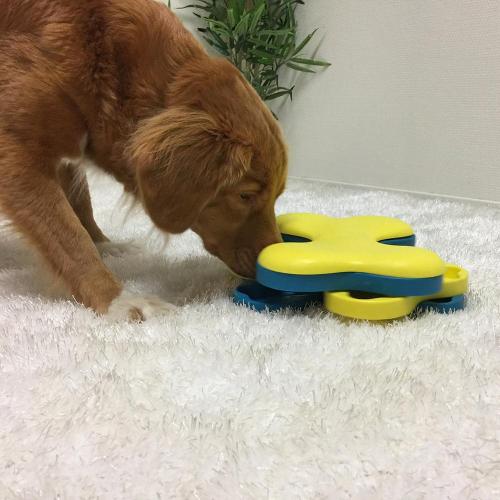 Puzzle Interactivo para Perros Tornado