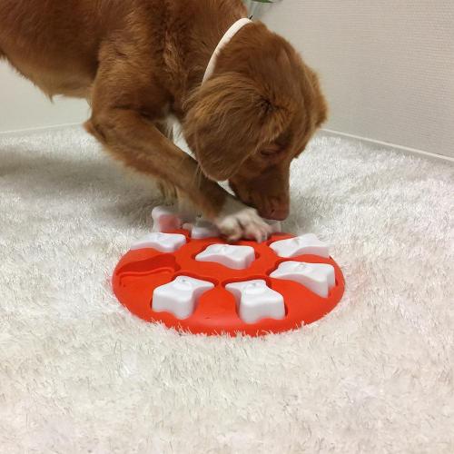 Puzzle Interactivo para Perros Smart Dog