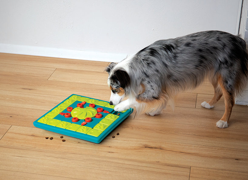 Puzzle Interactivo para Perros Multi