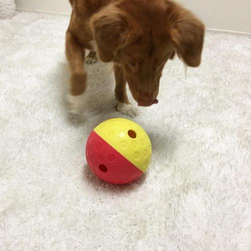 Pelota Interactiva Tumble, Juguete para Perros, Pelota para Perros