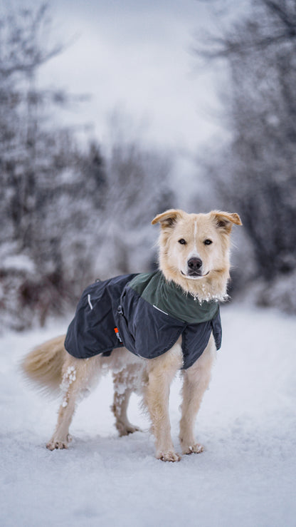 Non-Stop Dogwear Glacier  2.0Chaqueta- Abrigo para perros.