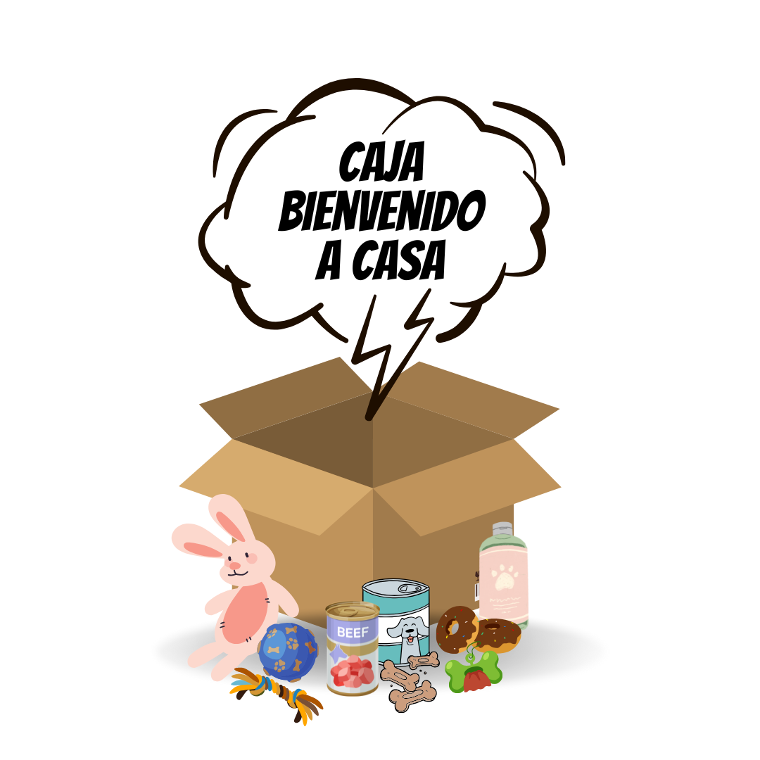 Caja ''Bienvenido a casa'', Perfecta para Perros y Gatos