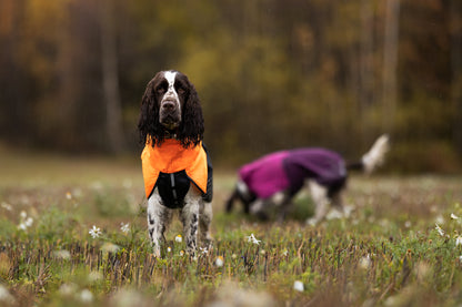 Non-Stop Dogwear Fjord Chubasquero - Chubasquero Perro