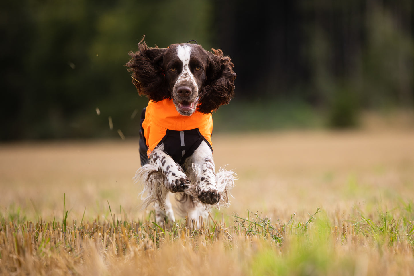 Non-Stop Dogwear Fjord Chubasquero - Chubasquero Perro