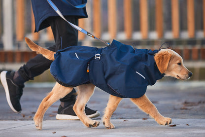 Non-Stop Dogwear Glacier  2.0Chaqueta- Abrigo para perros.