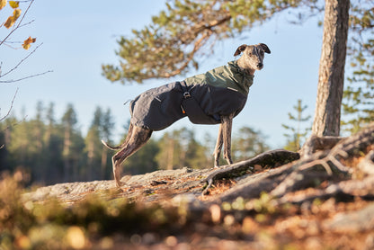 Non-Stop Dogwear Glacier  2.0Chaqueta- Abrigo para perros.