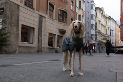 Non-Stop Dogwear Glacier  2.0Chaqueta- Abrigo para perros.