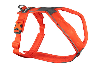 Non-Stop Dogwear Line Harness 5.0- Arnés para perros