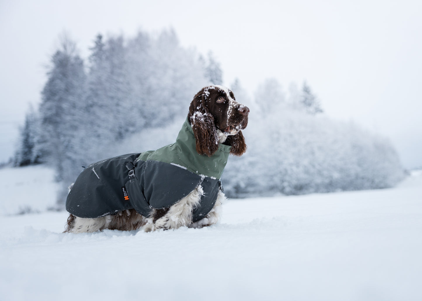 Non-Stop Dogwear Glacier  2.0Chaqueta- Abrigo para perros.