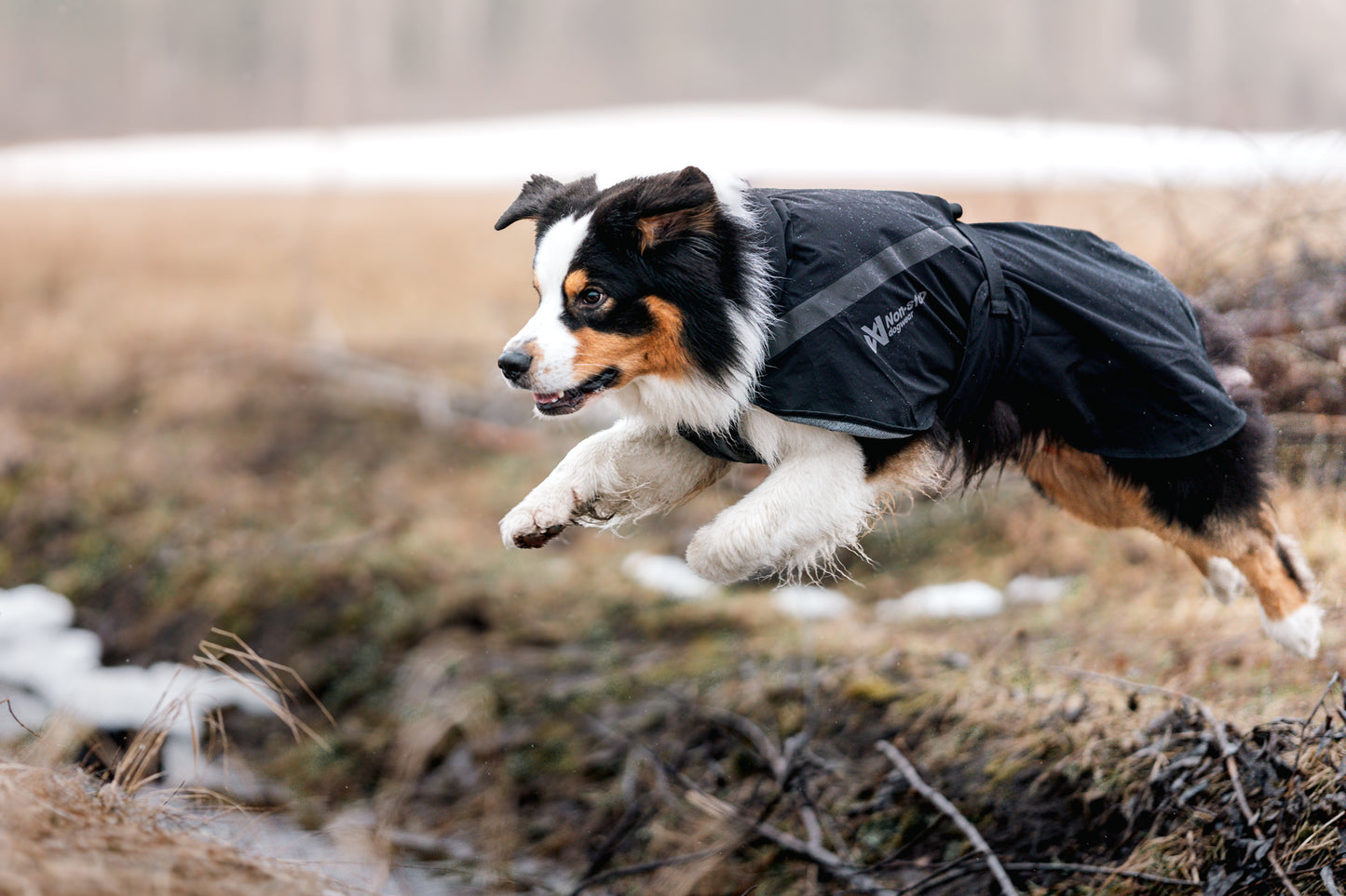 Non-Stop Dogwear Trekking Chubasquero - Chubasquero Perro