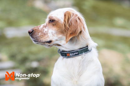 Non-Stop Dogwear Roam Collar - Collar para perros