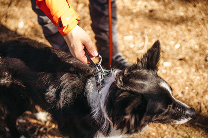 Non-Stop Dogwear Roam Collar - Collar para perros