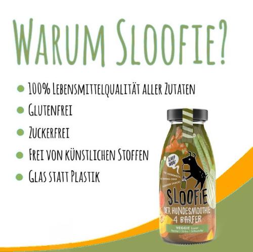 SLOOFIE - AMANTE DE LAS VERDURAS, Caldos para Perros