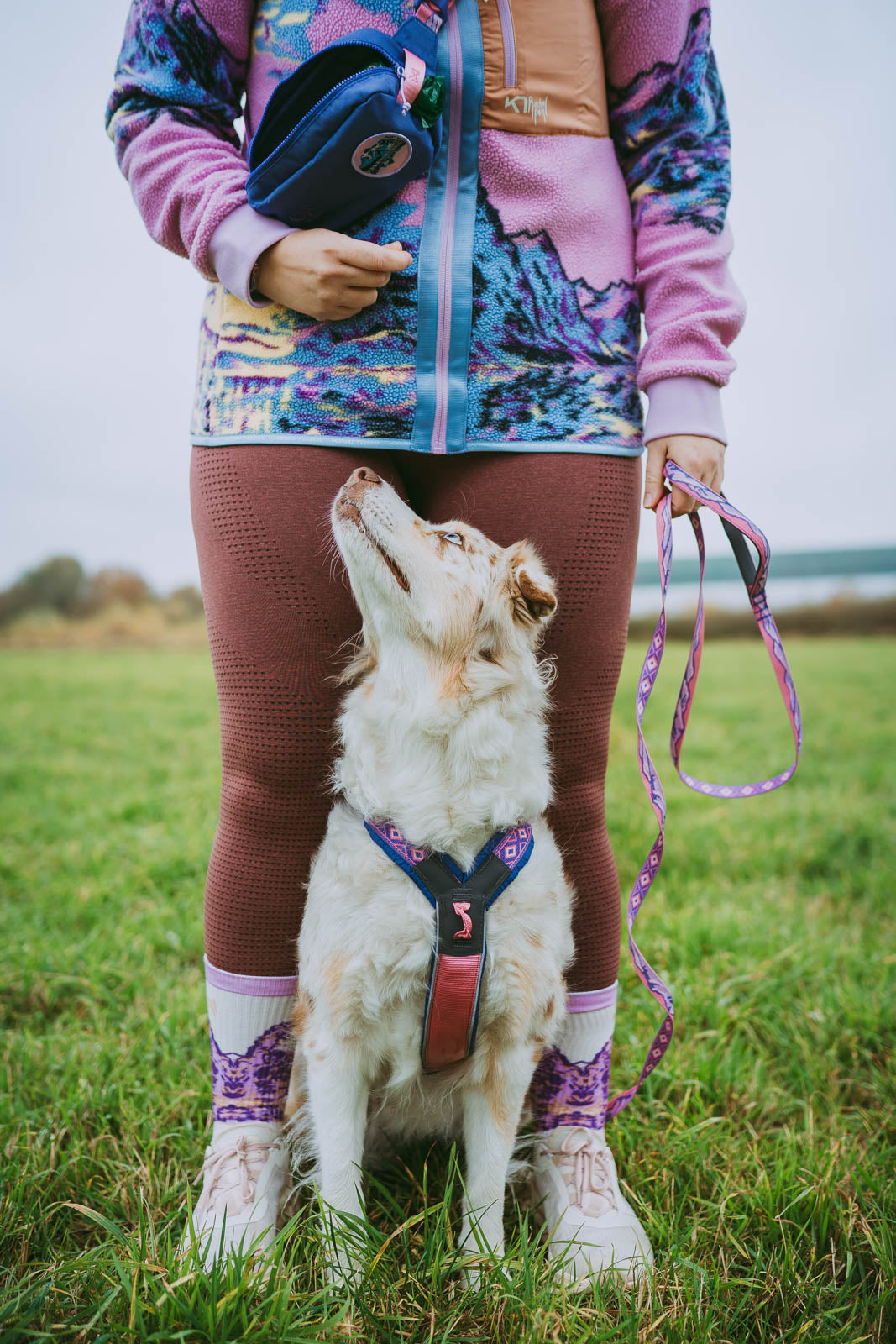 Non-Stop Dogwear Trail quest leash Rachel Pohl - Correa para perros