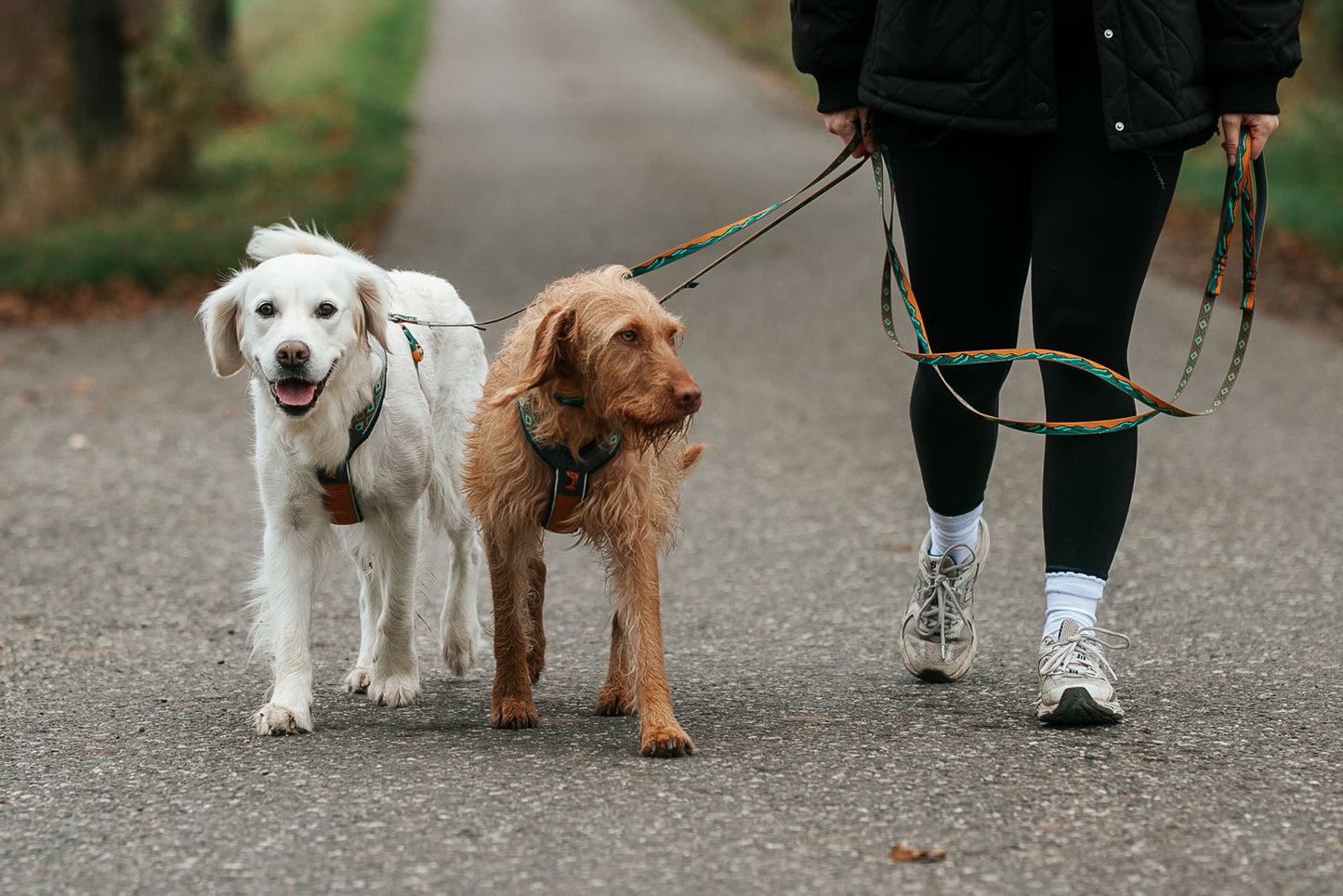 Non-Stop Dogwear Trail quest leash Rachel Pohl - Correa para perros