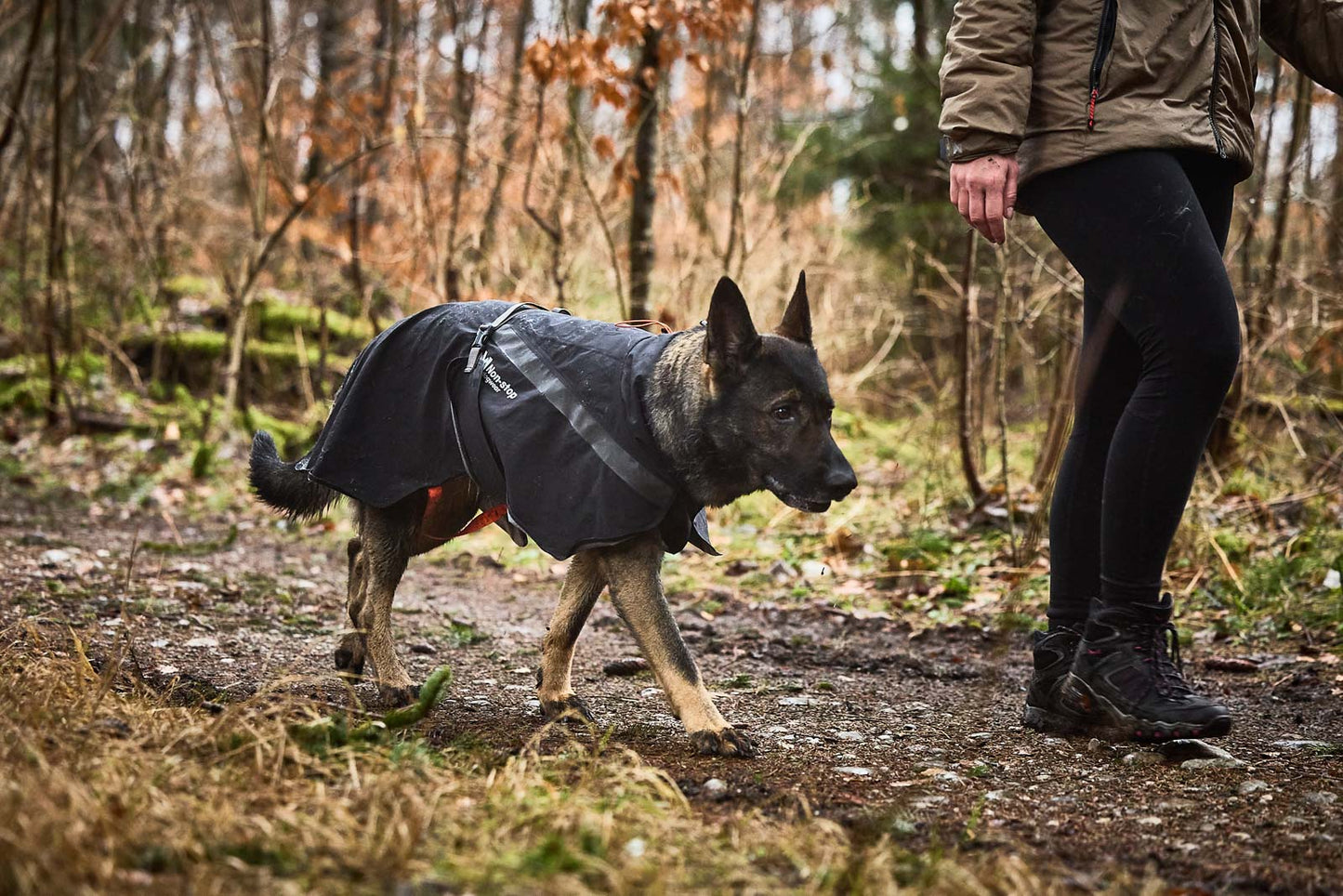 Non-Stop Dogwear Trekking Chubasquero - Chubasquero Perro