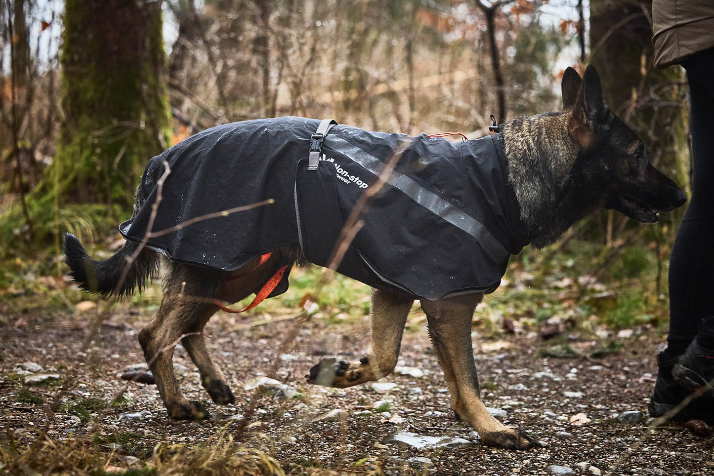 Non-Stop Dogwear Trekking Chubasquero - Chubasquero Perro