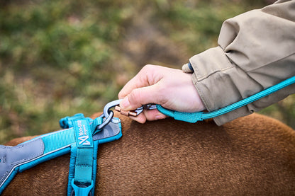 Non-Stop Dogwear Trekking Rope Leash- Correa para perros