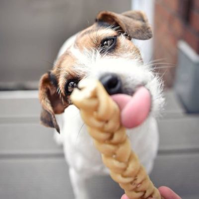 Trenzas Buey, Snacks Naturales para Perros, Premios para Perros